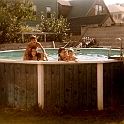 scan0102