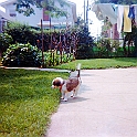 img125