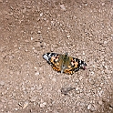 P1040006