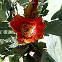 P1040150