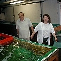 P6160022