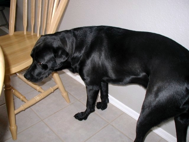 P1010109