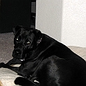 P1010108