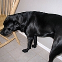 P1010109