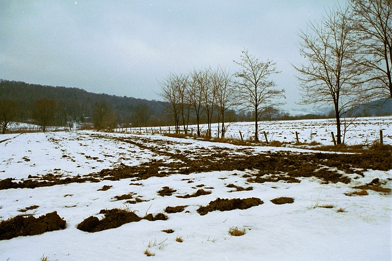 poland1 (29)