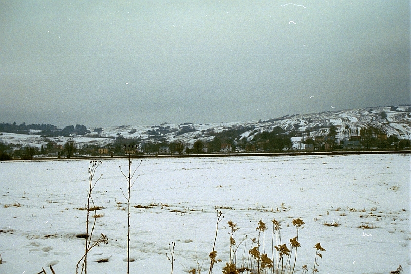 poland1 (35)