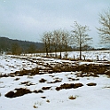 poland1 (29)
