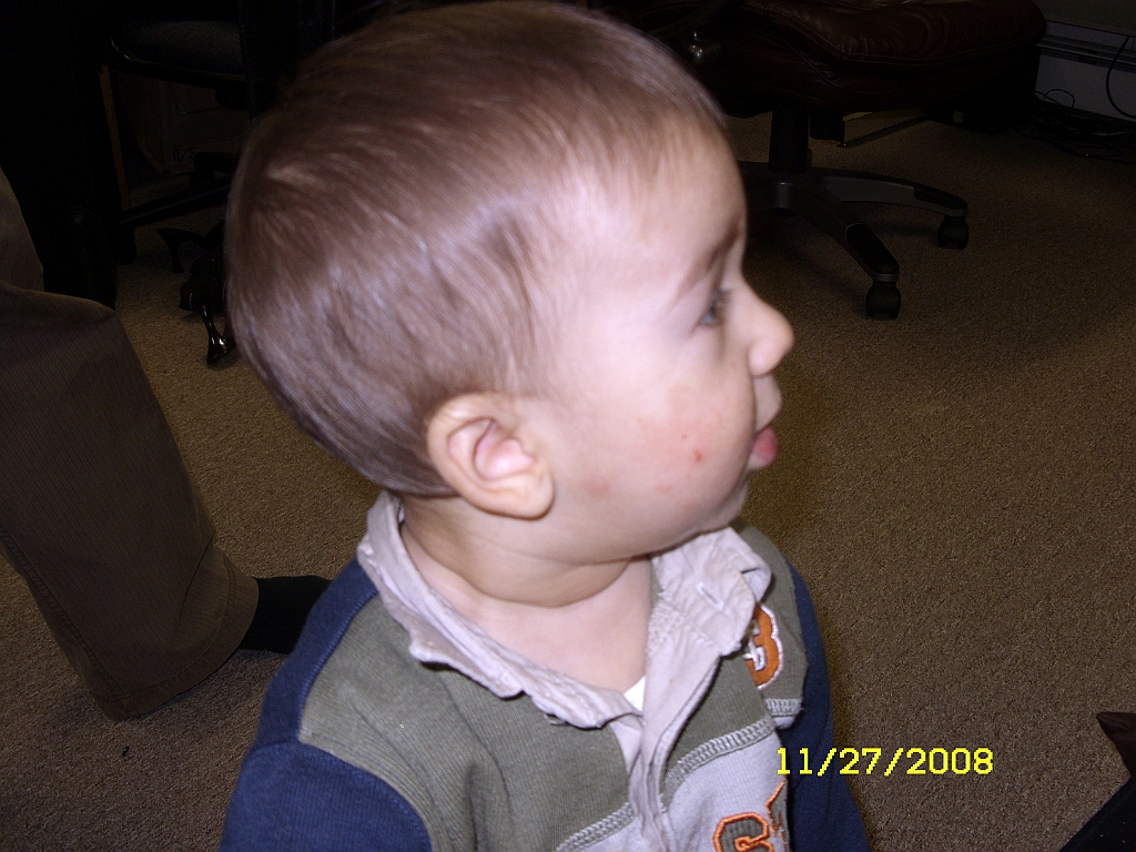 Picture 005
