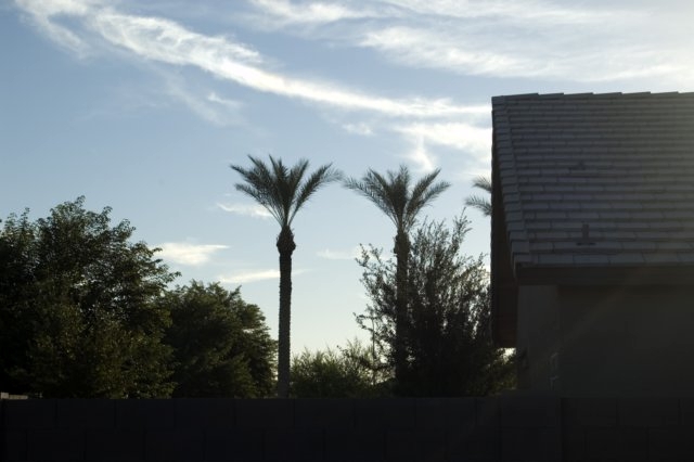 DSC 3366
