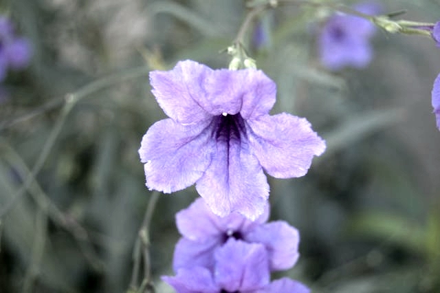DSC 3385