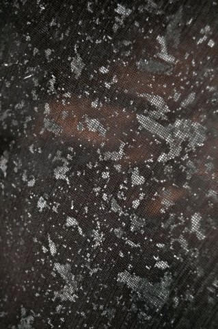 DSC 3395
