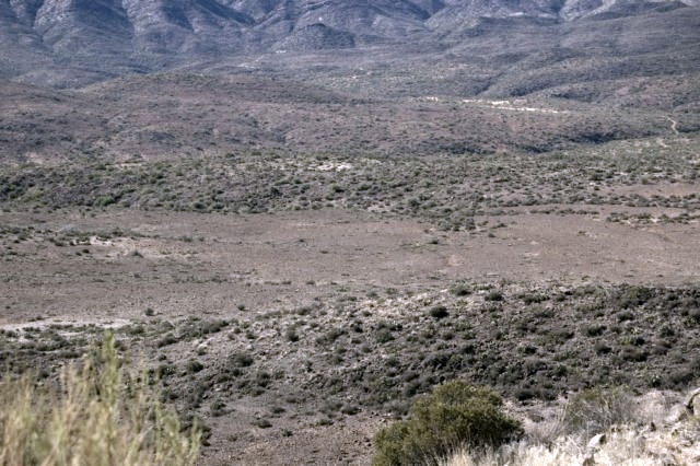DSC 3604