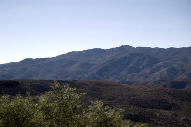 DSC 3606