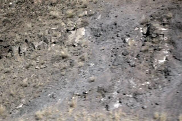 DSC 3634