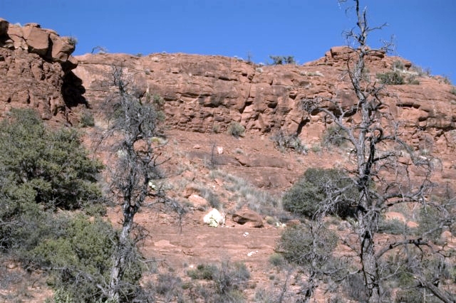 DSC 3696