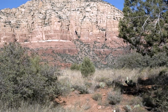 DSC 3719