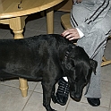 DSC 3358
