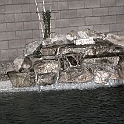DSC 3362