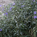 DSC 3364