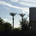 DSC 3366
