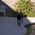 DSC 3368