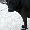 DSC 3370
