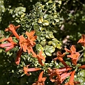 DSC 3374