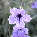 DSC 3385