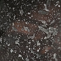 DSC 3395