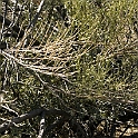 DSC 3603