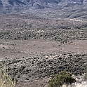 DSC 3604