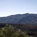 DSC 3606