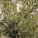 DSC 3609