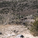 DSC 3610