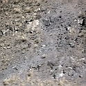 DSC 3634