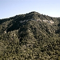 DSC 3638