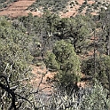DSC 3662