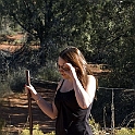 DSC 3664