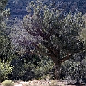 DSC 3674