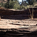 DSC 3680