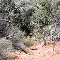 DSC 3681