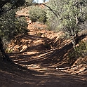 DSC 3683