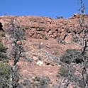 DSC 3696