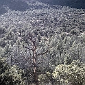 DSC 3714
