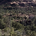 DSC 3715