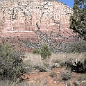 DSC 3719