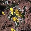 DSC 3735