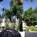P7262451