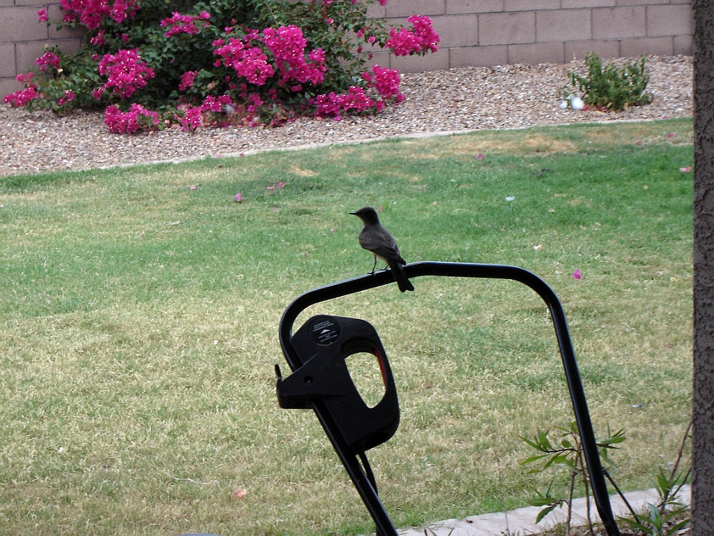 DSC00541