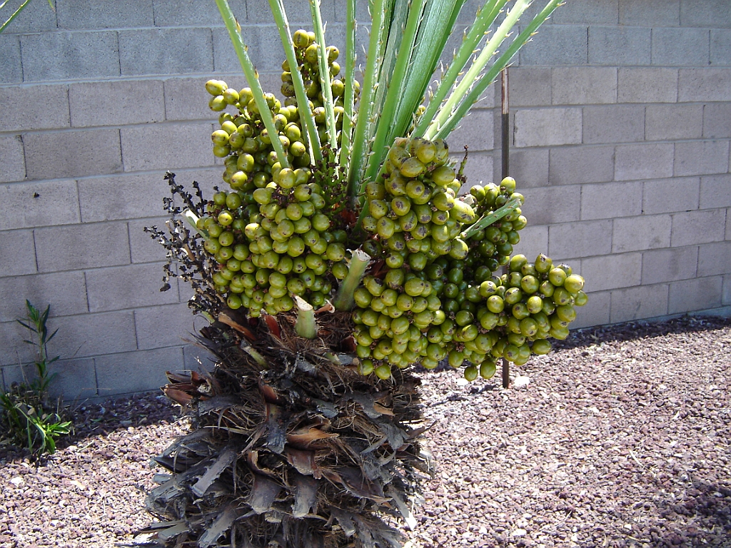 DSC00577